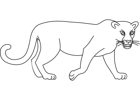 Leopard Without Spots Coloring Page